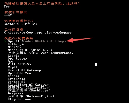 选择 OpenAI 兼容服务配置