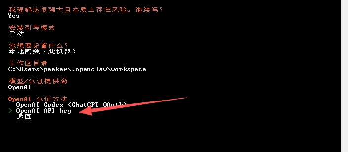 选择 API Key 认证