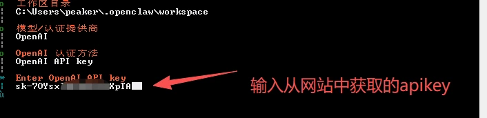 填写自己的密钥(截图已遮挡)