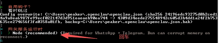 确认配置结果