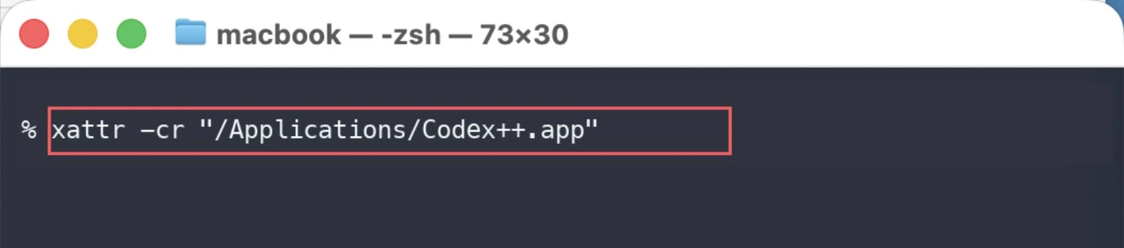 终端命令输入示意:应用名称为 Codex++。